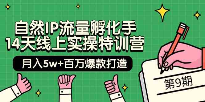 自然IP流量孵化手 14天线上实操特训营【第9期】月入5w+百万爆款打造 (74节)-资源基地