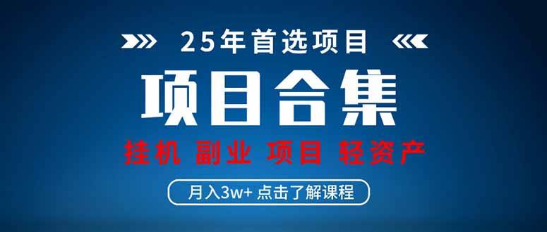 2025 实操项目合集 挂机类型 直播类型 轻资产创业类型 课程分享各项目…-资源基地