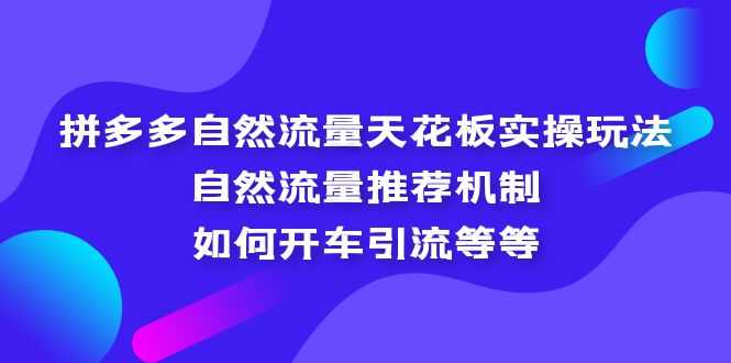 拼多多自然流量天花板实操玩法：自然流量推荐机制，如何开车引流等等-资源基地