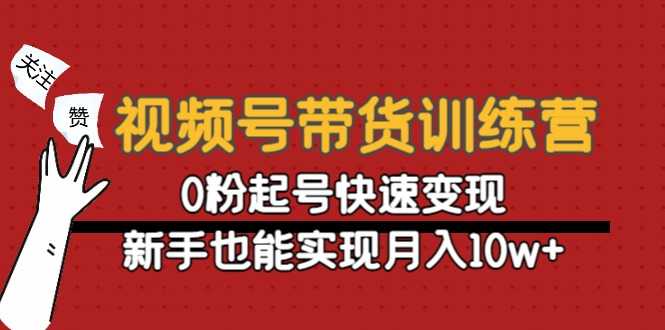 视频号带货训练营:0粉起号快速变现,新手也能实现月入10w+-资源基地
