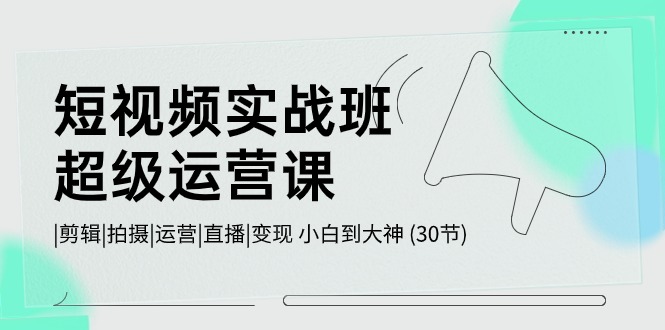 短视频实战班-超级运营课,|剪辑|拍摄|运营|直播|变现 小白到大神 (30节)-资源基地