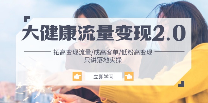 大健康 流量 变现2.0:拓高变现 流量/成高客单/低粉高变现/只讲落地实战-资源基地