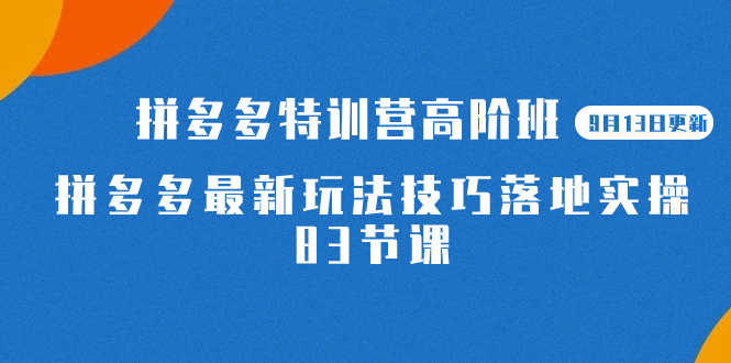 2023拼多多·特训营高阶班【9月13日更新】拼多多最新玩法技巧落地实操-83节-资源基地