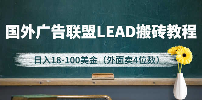 外面卖4位数的国外广告联盟LEAD搬砖教程，日入18-100美金（教程+软件）-资源基地