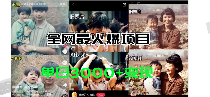 全网爆火的AI让老照片动起来教程,蹭热点日赚3000+,内含免费工具一键…-资源基地