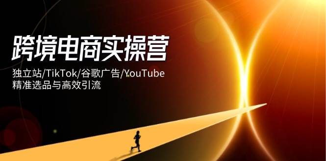 跨境电商实操营：独立站/TikTok/谷歌广告/YouTube，精准选品与高效引流-资源基地