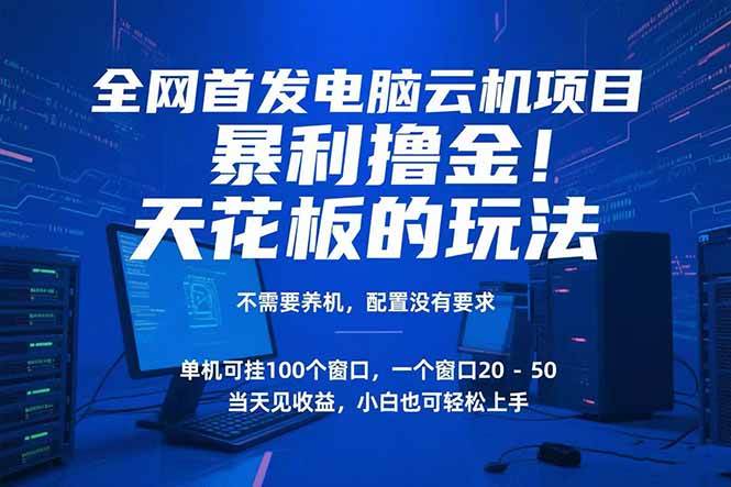 电脑云机项目 暴力撸金玩法，不需要养机 配置没有要求 单机100个窗口一…-资源基地