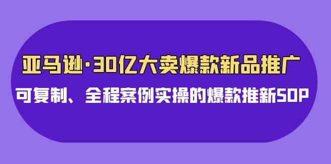 亚马逊30亿·大卖爆款新品推广,可复制、全程案例实操的爆款推新SOP-资源基地