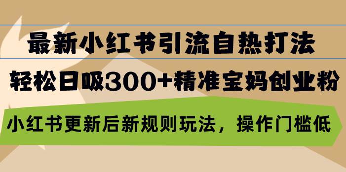最新小红书引流自热打法，轻松日吸300+精准宝妈创业粉，小红书更新后新…-资源基地