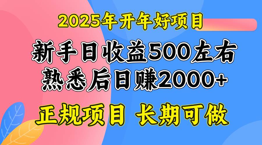 2025开年好项目,单号日收益2000左右-资源基地