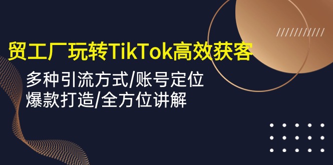 外贸工厂玩转TikTok高效获客，多种引流方式/账号定位/爆款打造/全方位讲解-资源基地
