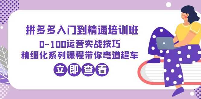 2023拼多多入门到精通培训班：0-100运营实战技巧 精细化系列课带你弯道超车-资源基地