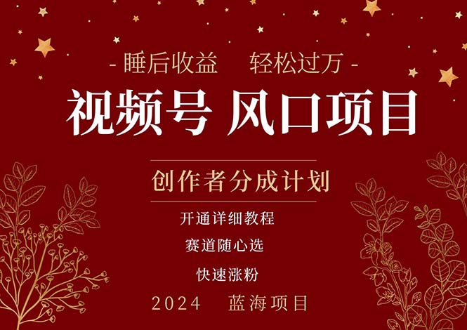 拥有睡眠收益的微信视频号大风口项目,轻松月入过万+,多赛道选择,可…-资源基地
