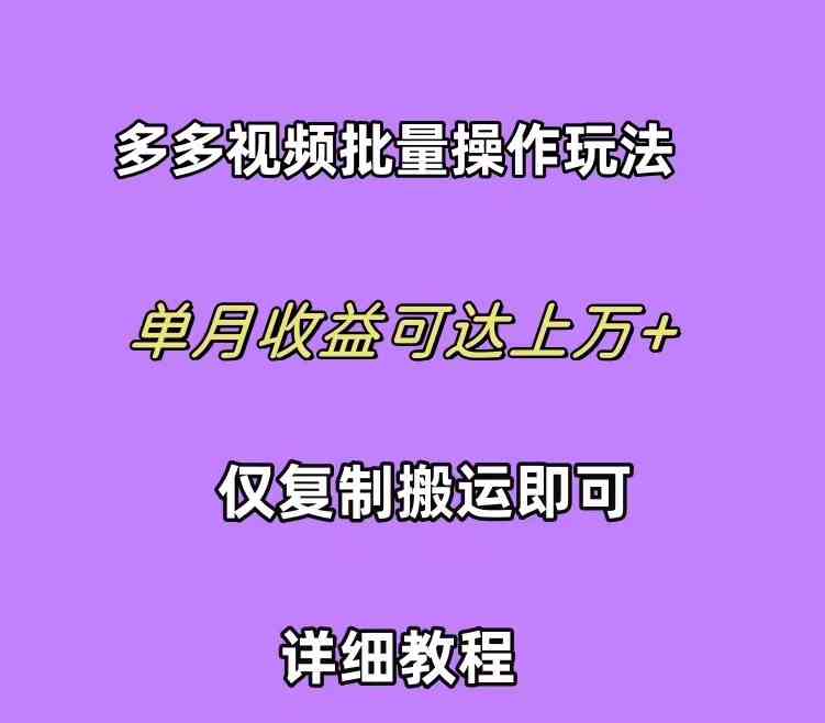 拼多多视频带货快速过爆款选品教程 每天轻轻松松赚取三位数佣金 小白必…-资源基地