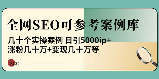 《全网SEO可参考案例库》几十个实操案例 日引5000ip+涨粉百W+变现几十W等!-资源基地