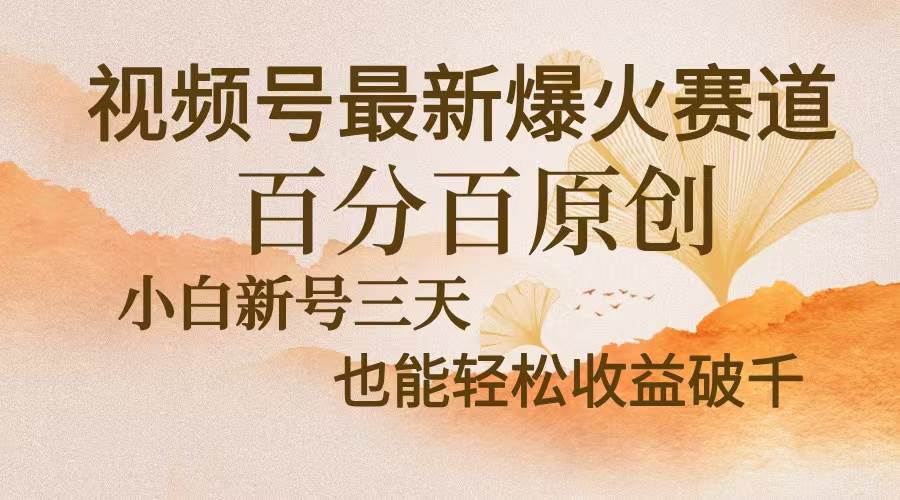 视频号最新爆火赛道，中老年粉深信不疑，百分百原创，新号三天收益轻松…-资源基地