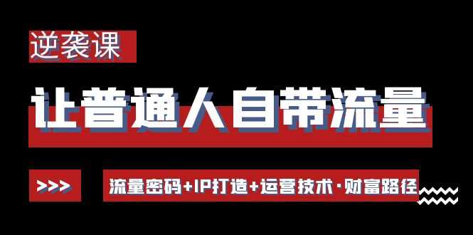 让普通人自带流量的逆袭课：流量密码+IP打造+运营技术·财富路径-资源基地