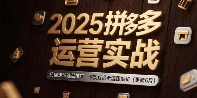 2025拼多多运营实战：店铺定位选品技巧，爆款打造全流程解析（更新6月）-资源基地