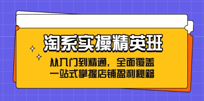 淘系实操精英班：从入门到精通，全面覆盖，一站式掌握店铺盈利秘籍-资源基地