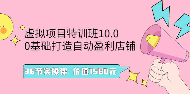 虚拟项目特训班10.0,0基础打造自动盈利店铺 36节实操课-资源基地