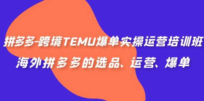 拼多多-跨境TEMU爆单实操运营培训班,海外拼多多的选品、运营、爆单-资源基地