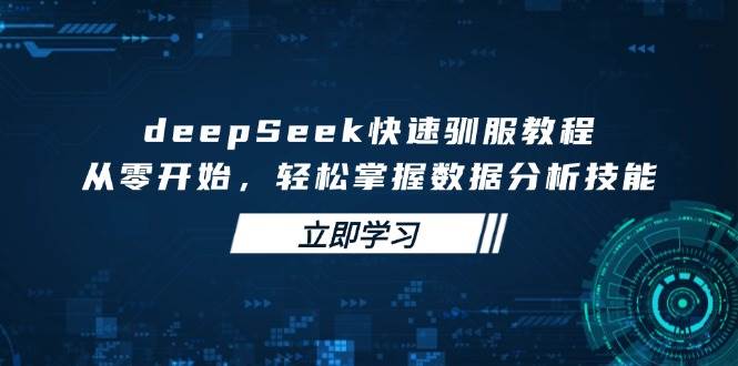 deepSeek快速驯服教程，从零开始，轻松掌握数据分析技能-资源基地