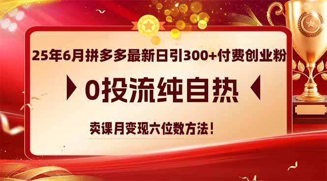 25年6月拼多多最新日引300+付费创业粉,0投流纯自热 卖课月变现六位数方法-资源基地