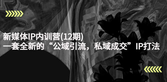 新媒体IP内训营(12期),一套全新的“公域引流,私域成交”IP打法,直接带走-资源基地