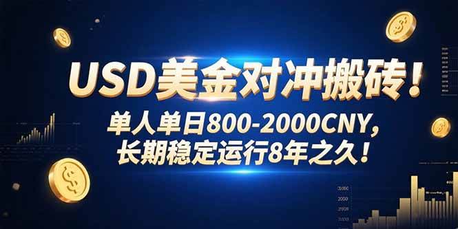 USD美金对冲搬砖!单人单日800-2000CNY，长期稳定运行8年之久!-资源基地
