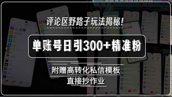 评论区野路子玩法揭秘!单账号日引300+精准粉,附赠高转化私信模板,直…-资源基地