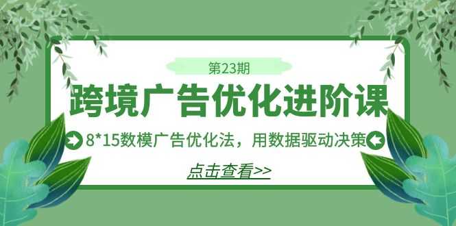 跨境广告·优化进阶课·第23期，8*15数模广告优化法，用数据驱动决策-资源基地