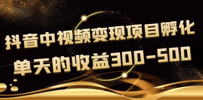 黄岛主《抖音中视频变现项目孵化》单天的收益300-500 操作简单粗暴-资源基地