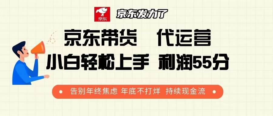 京东带货 代运营 利润55分 告别年终焦虑 年底不打烊 持续现金流-资源基地