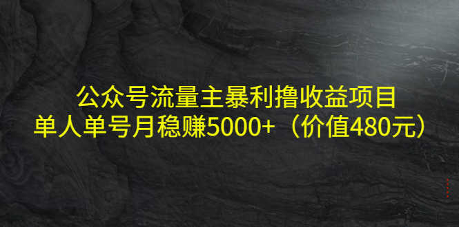 公众号流量主暴利撸收益项目,单人单号月稳赚5000+(价值480元)-资源基地