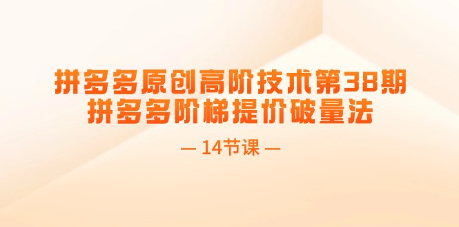 拼多多原创高阶技术第38期，拼多多阶梯提价破量法（14节课）-资源基地