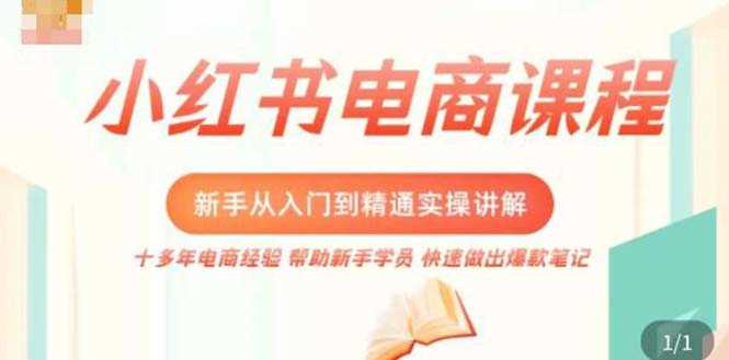 小红书电商新手入门到精通实操课,从入门到精通做爆款笔记,开店运营-资源基地