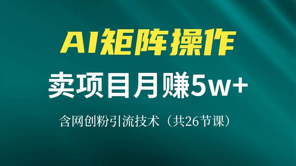 网创IP打造课,借助AI卖项目月赚5万+,含引流技术(共26节课)-资源基地