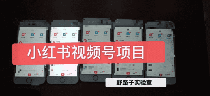 野路子小红书课程月入过万:直接上手操作就能赚钱的视频号项目 可长久操作-资源基地
