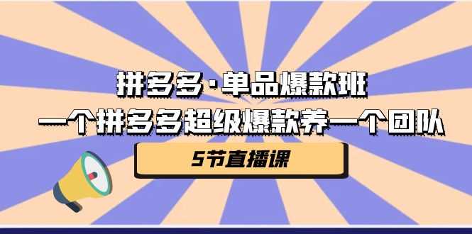 拼多多·单品爆款班,一个拼多多超级爆款养一个团队(5节直播课)-资源基地