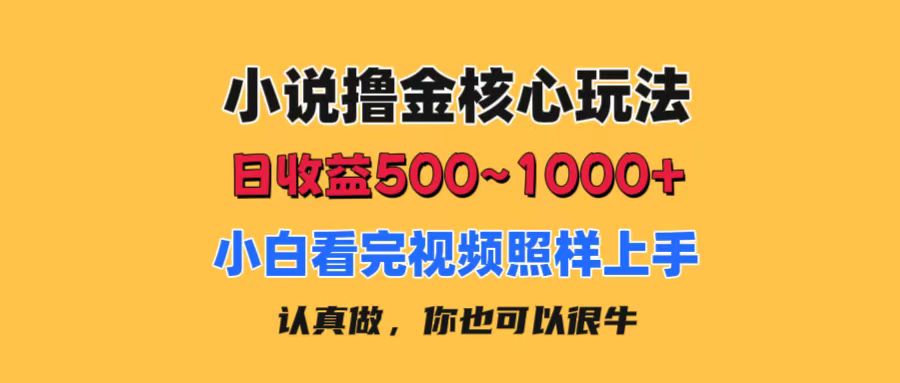 小说撸金核心玩法，日收益500-1000+，小白看完照样上手，0成本有手就行-资源基地
