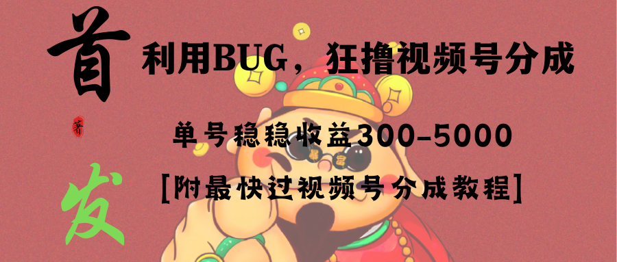 全网独家首发,视频号BUG,超短期项目,单号每日净收益300-5000!-资源基地