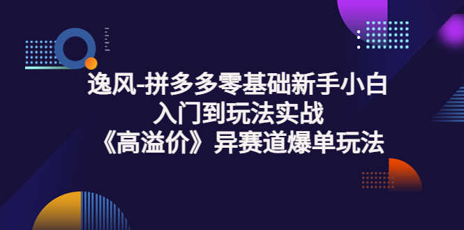 逸风-拼多多零基础新手小白入门到玩法实战《高溢价》异赛道爆单玩法实操课-资源基地