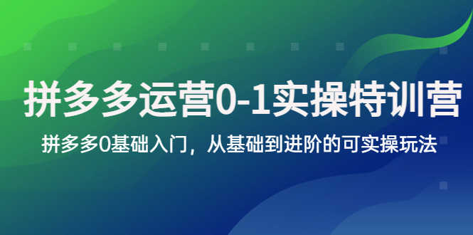 拼多多-运营0-1实操训练营,拼多多0基础入门,从基础到进阶的可实操玩法-资源基地