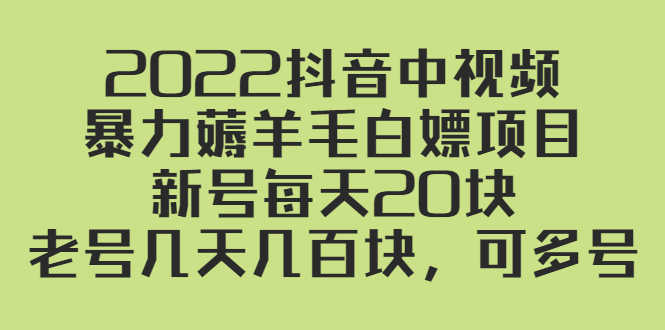 2022抖音中视频暴力薅羊毛白嫖项目:新号每天20块,老号几天几百块,可多号-资源基地