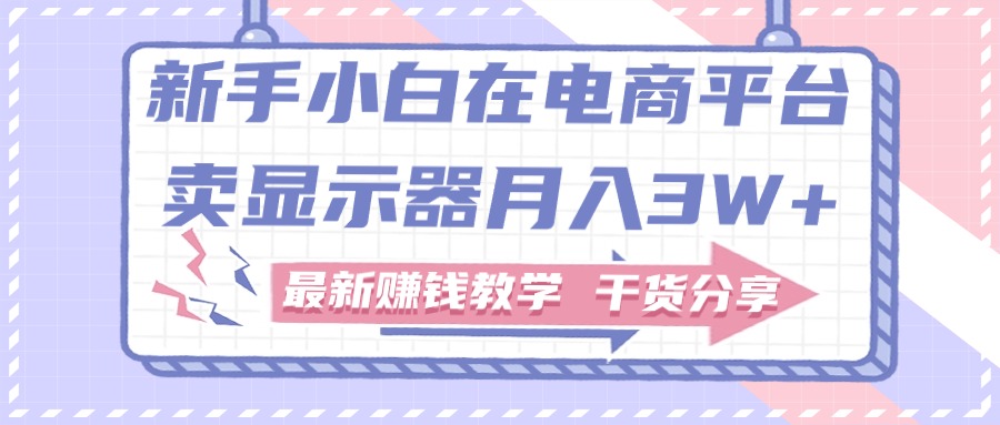 新手小白如何做到在电商平台卖显示器月入3W+，最新赚钱教学干货分享-资源基地