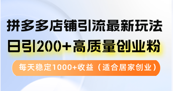 拼多多店铺引流最新玩法，日引200+高质量创业粉，每天稳定1000+收益（…-资源基地