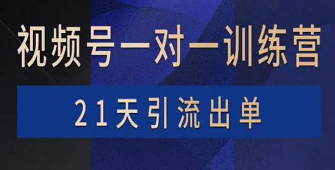 视频号训练营：带货，涨粉，直播，游戏，四大变现新方向，21天引流出单-资源基地