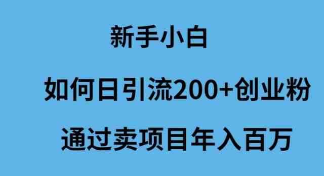 新手小白如何日引流200+创业粉通过卖项目年入百万-资源基地