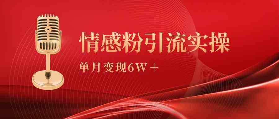 单月变现6w+,情感粉引流变现实操课-资源基地