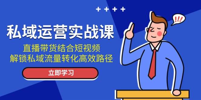 私域运营实战课:直播带货结合短视频,解锁私域流量转化高效路径-资源基地